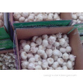 /msite/products/detail/productid/56325382/id/572588.html